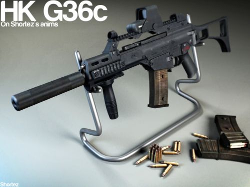 HK G36C